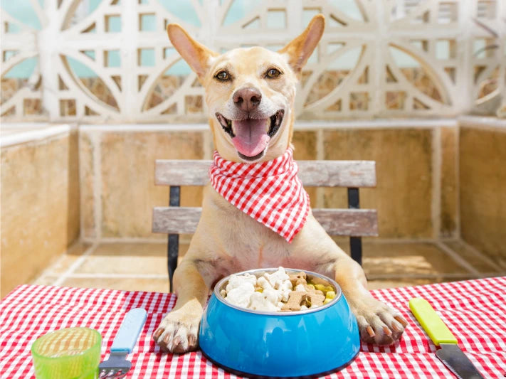 Accessoires d'alimentation