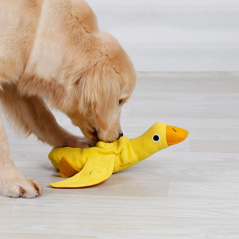 Duck Treat Hunt