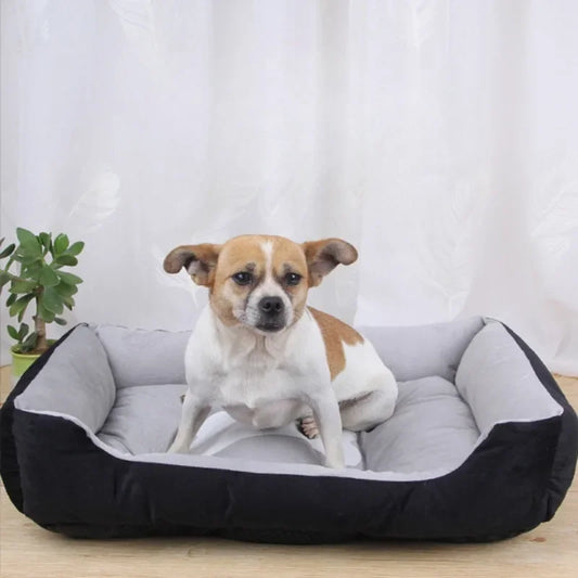 Velvet Pet Bed