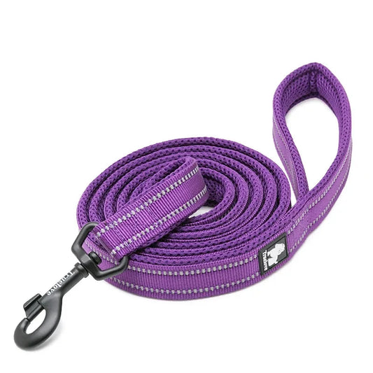 Pet Leash Collar