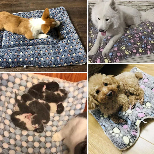 Ultra Soft Pet Blanket