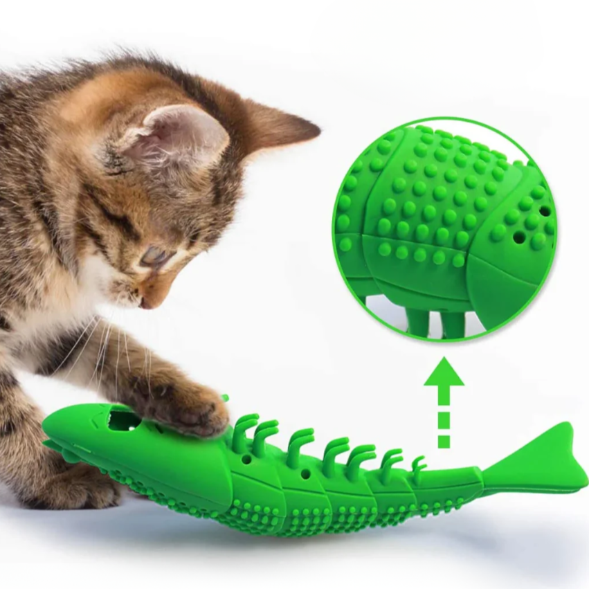 DentiCats: Dental Hygiene for Cats