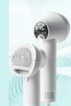 GroomPro 2-in-1 Haustiertrockner 
