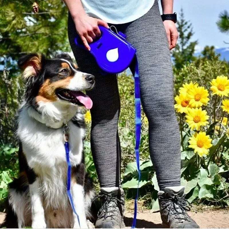 WalkEase™ 4-in-1 Leash