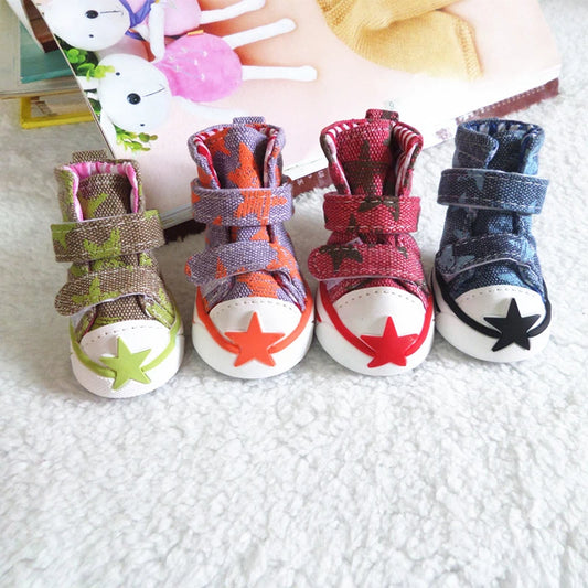 All Star for Dogs