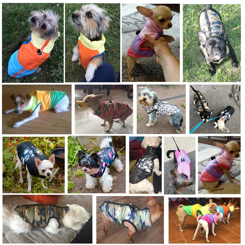 Winddichte Hundeweste 