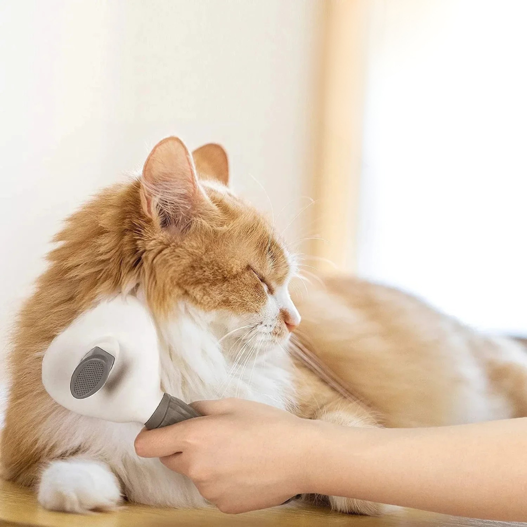 Intelligente Tierhaarentfernungsbürste
