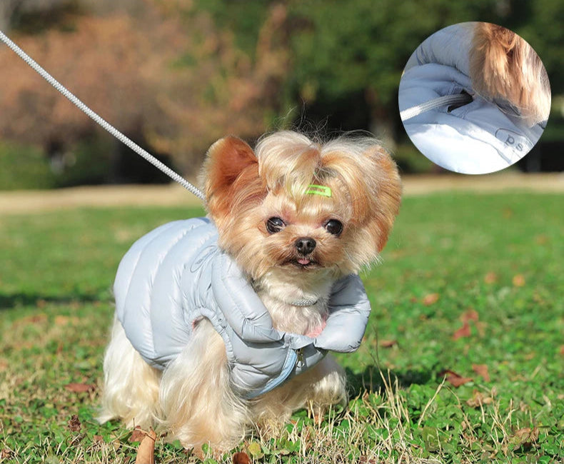 Winterjacke für Hunde