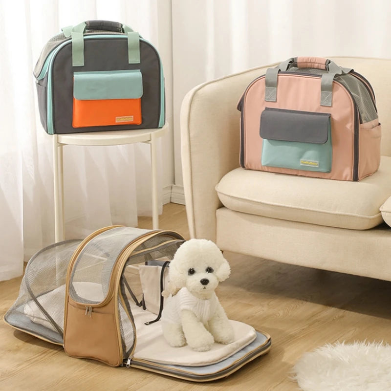Hunderucksack 3-in-1
