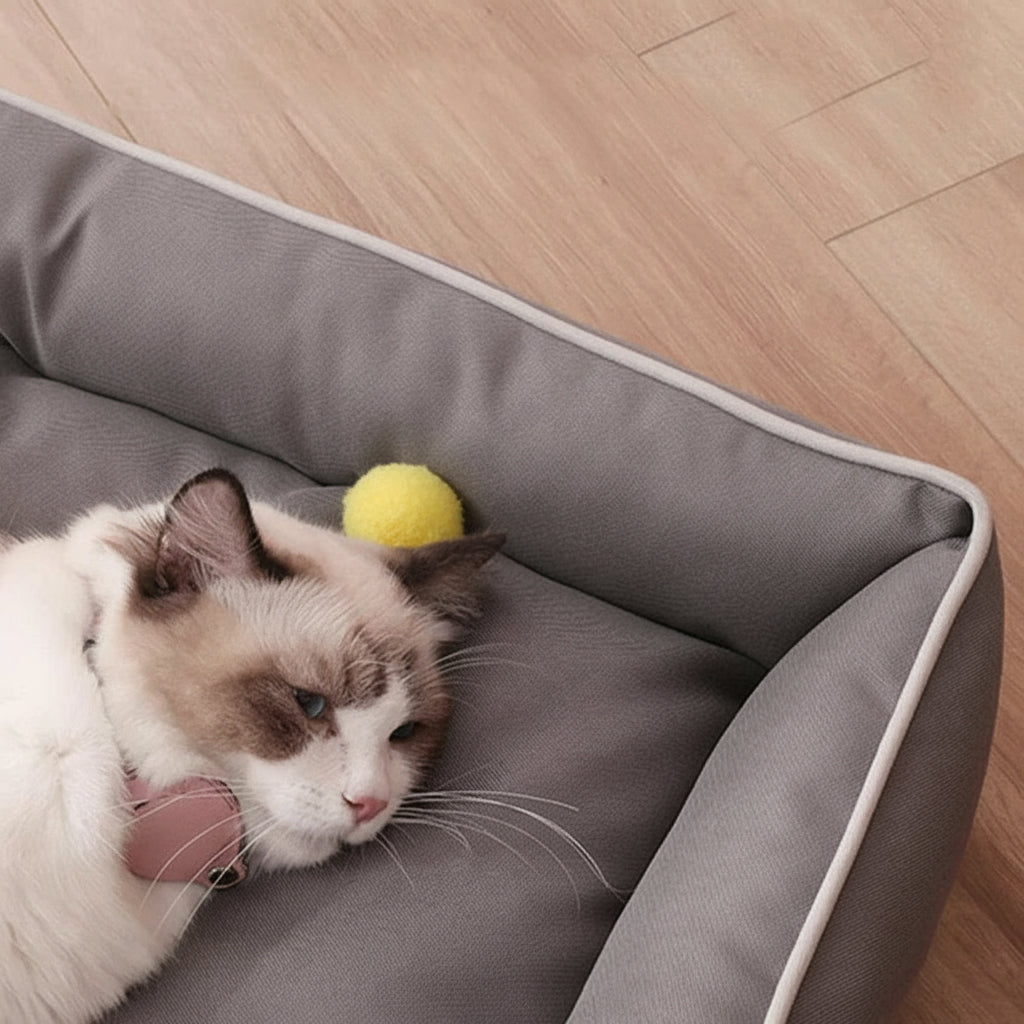 Divano letto impermeabile e accogliente per animali domestici