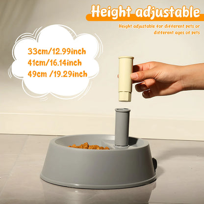 Standing Pet Water Dispenser