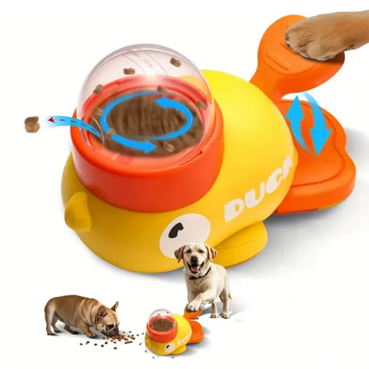 Duck-Shaped Interactive Toy