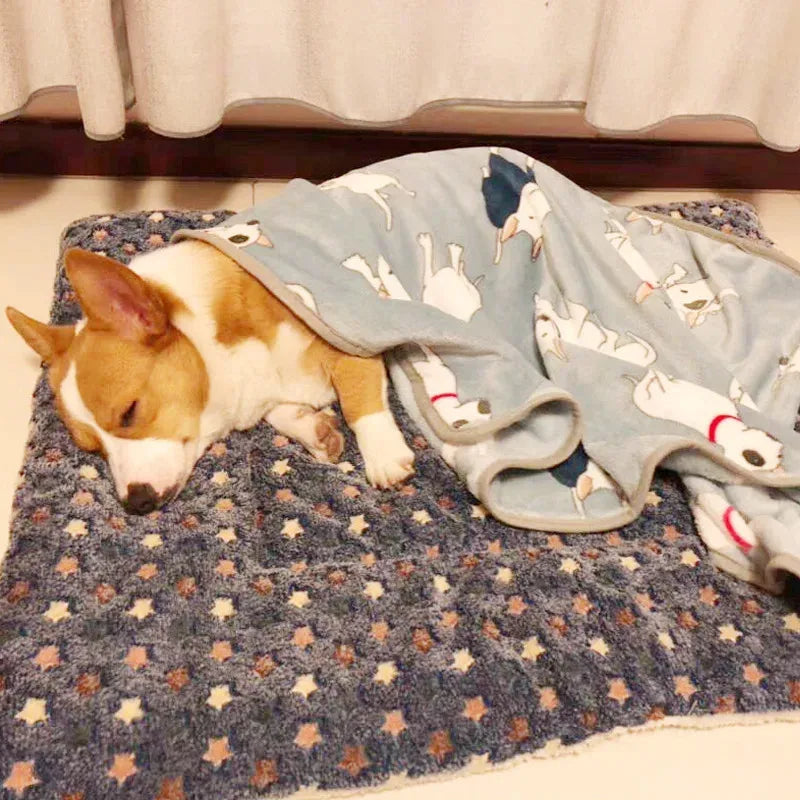 Ultra Soft Pet Blanket