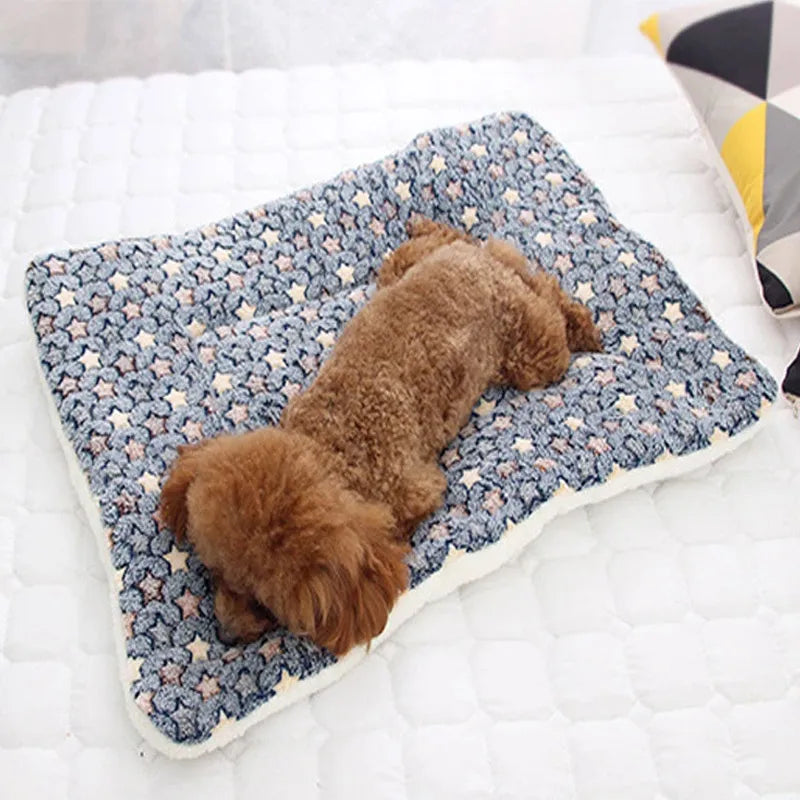Ultra Soft Pet Blanket