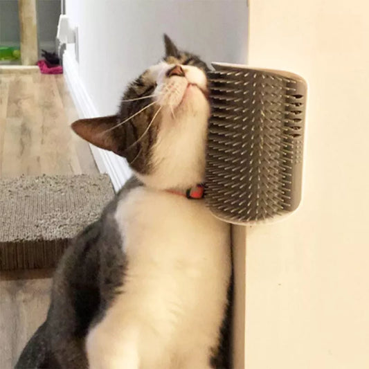 Wandmontierte Katzenbürste