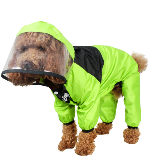 Impermeable de moda para perros 