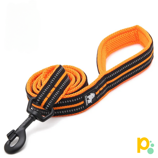 Pet Leash Collar