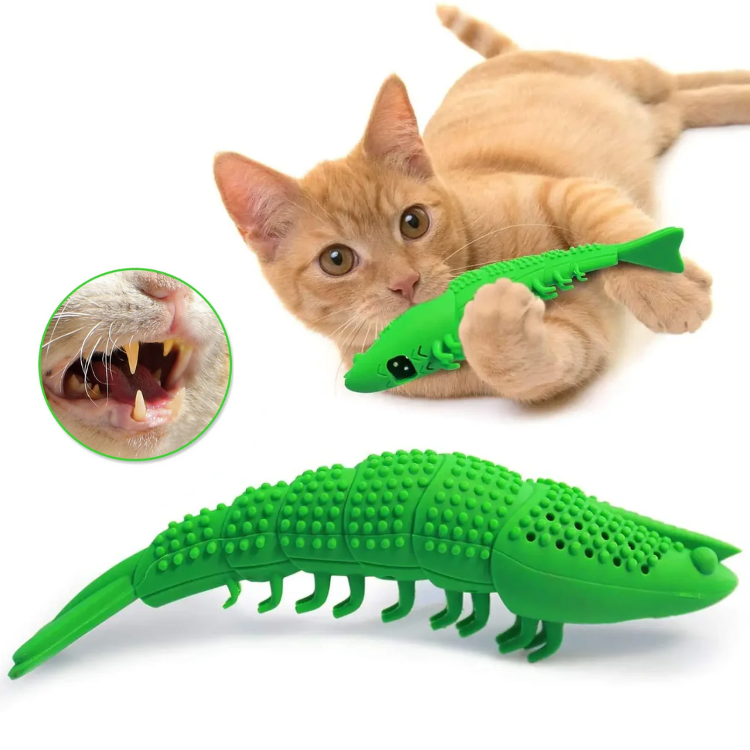 DentiCats: Zahnhygiene für Katzen