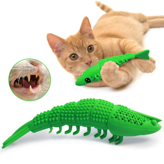 DentiCats: Zahnhygiene für Katzen