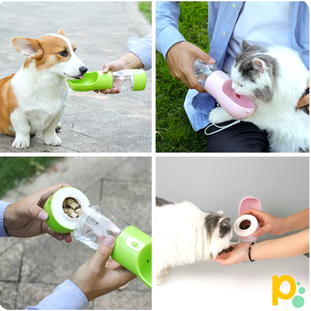 2-in-1-Wasserflasche
