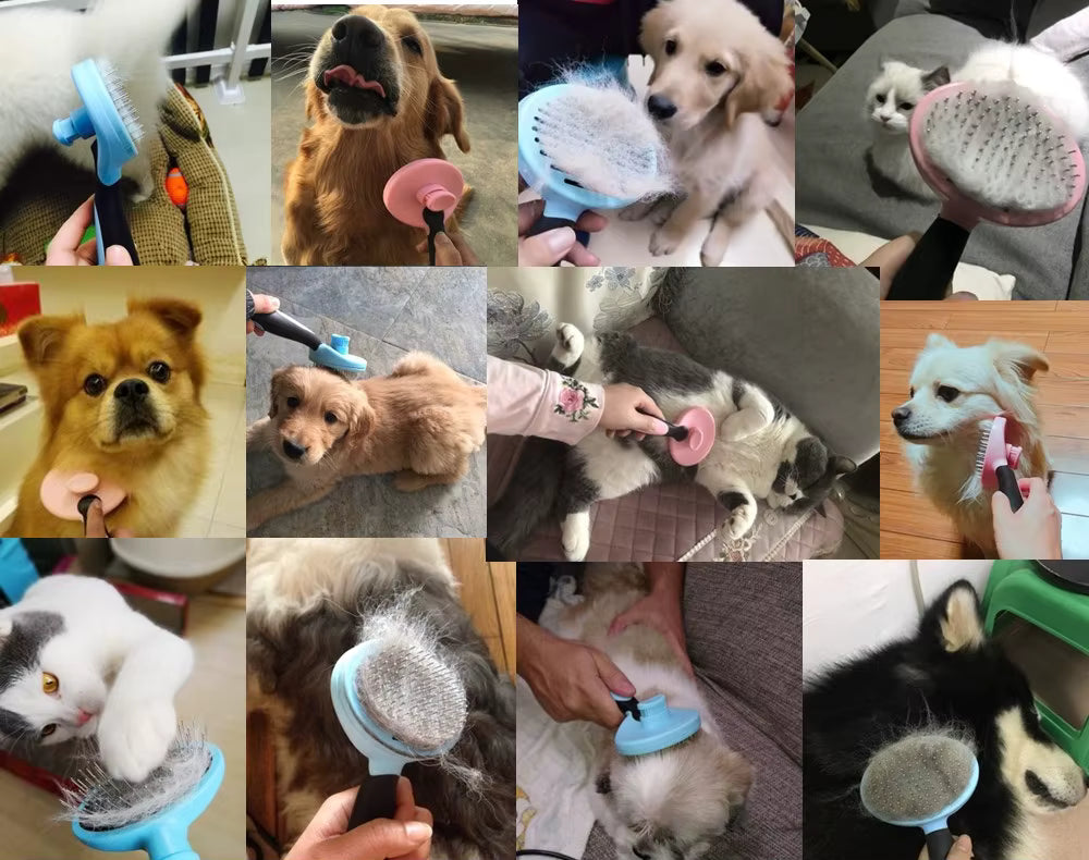 Smart Pet Hair Removal Brush *Buy 1 and Get 1 FREE* + Free Gift!